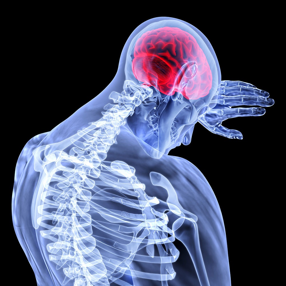 Research-Australia_HMR-Facts